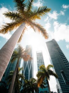 LLC Attorneys